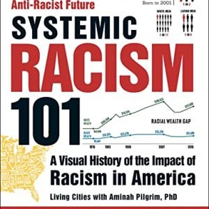 Systemic Racism 101: A Visible Historical past of the Have an effect on of Racism in The usa