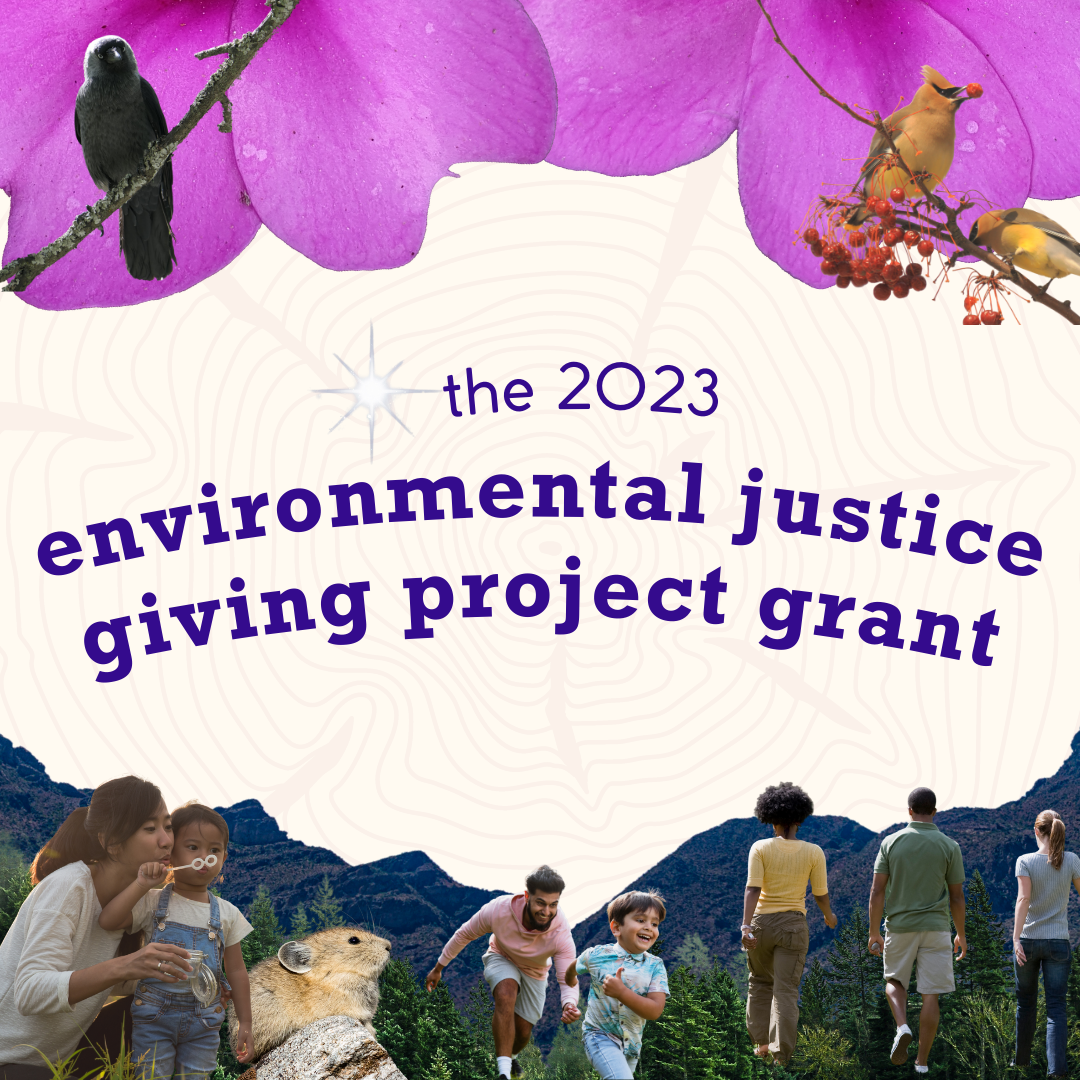 Not on time: 2023 Environmental Justice Giving Challenge Grant