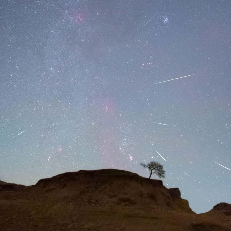 Orionids: The best way to see the Halley’s comet meteor bathe this weekend