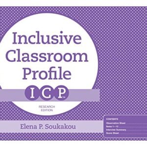 The Inclusive Lecture room Profile (ICP™), Analysis Version