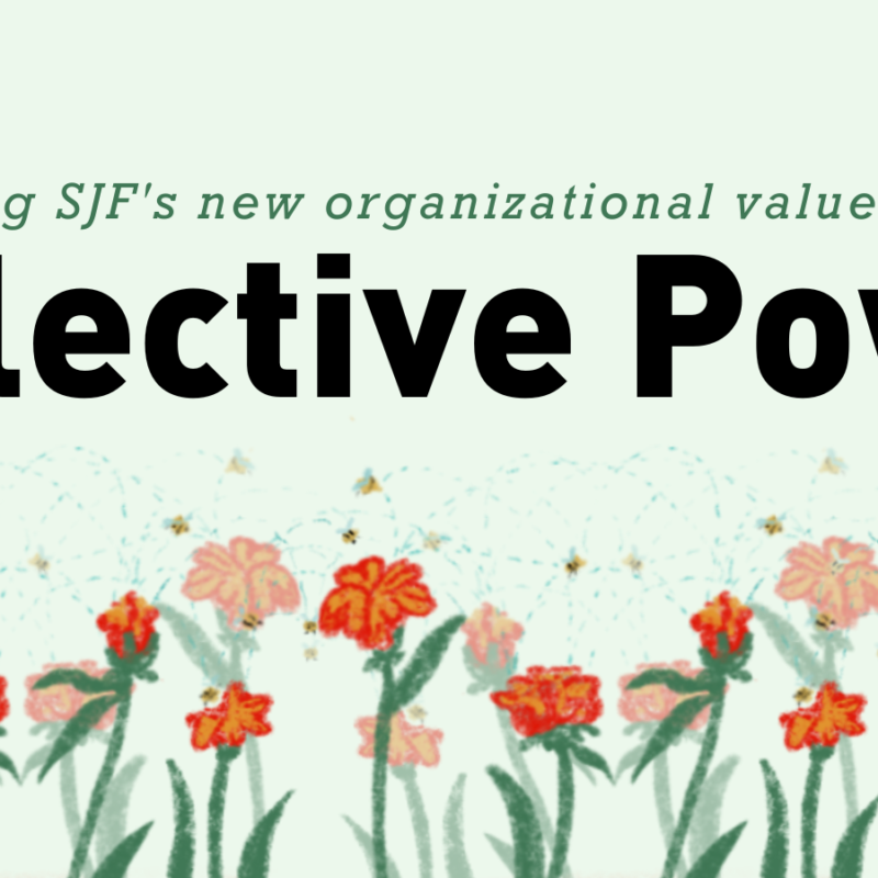 SJF’s new organizational values — exploring Collective Energy via Treasured Arney