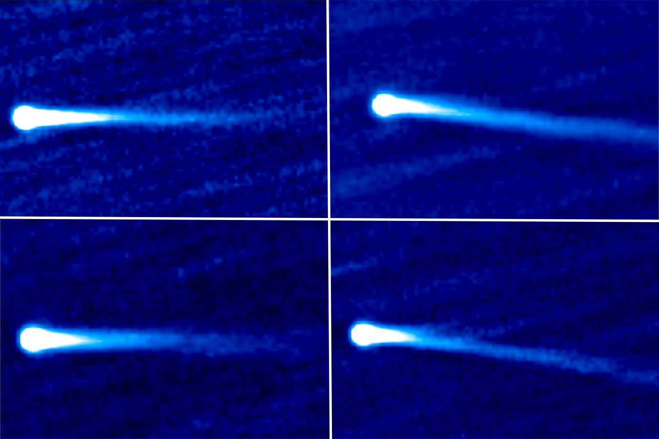 A comet wagged its tail because it flew previous the solar