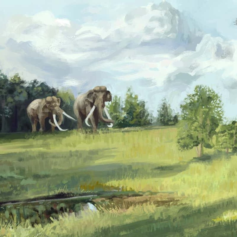 Historic Europe was once part lined through savannah and grazed through elephants Historic Europe was once part lined through savannah and grazed through elephants