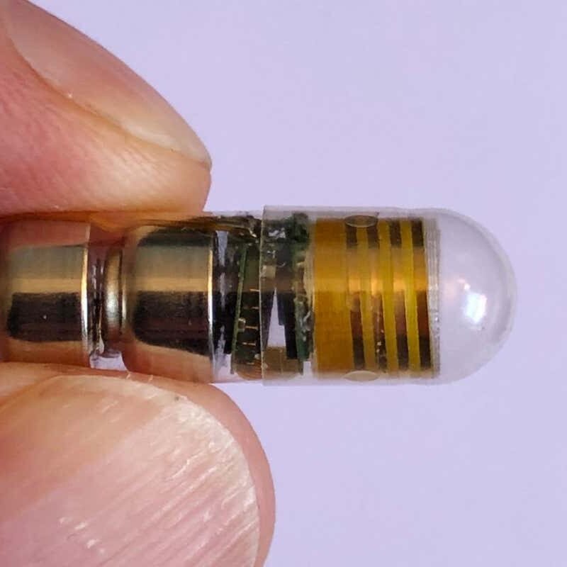 Digital tablet displays your respiring and center price out of your intestine Digital tablet displays your respiring and center price out of your intestine