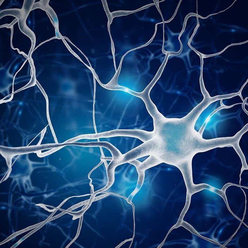 Vagus nerve stimulation might assist deal with drug dependancy