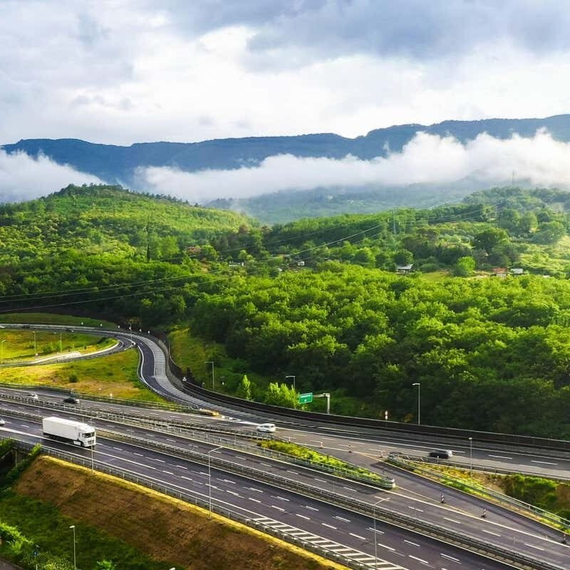 Vegetation are extra productive on weekends because of cleaner air Vegetation are extra productive on weekends because of cleaner air