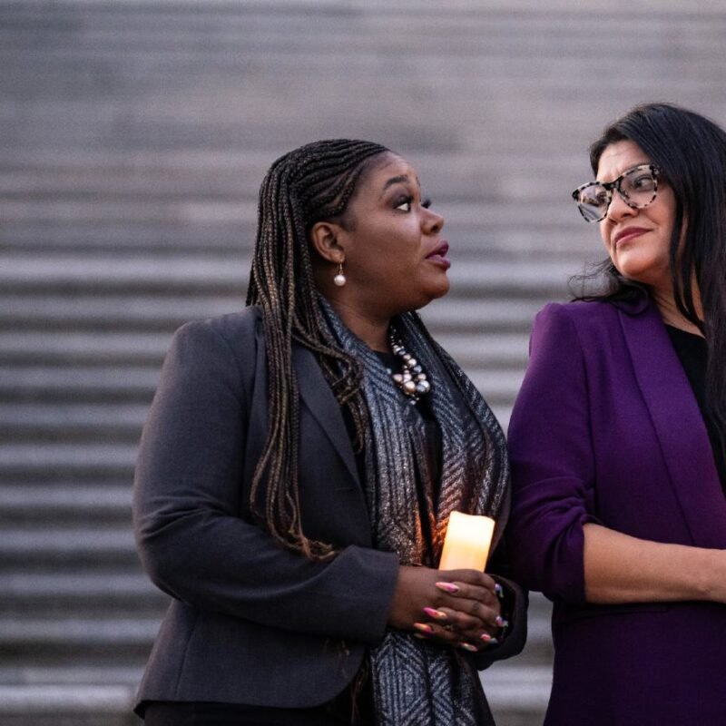 Why It’s Necessary to Shield Consultant Rashida Tlaib Towards Censure, Whether or not or No longer We Agree With Her