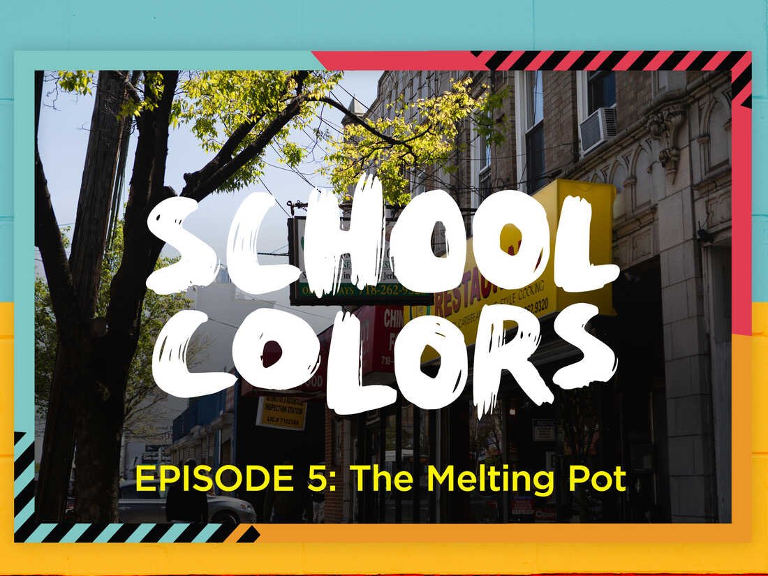 Faculty Colours Episode 5 : Code Transfer : NPR