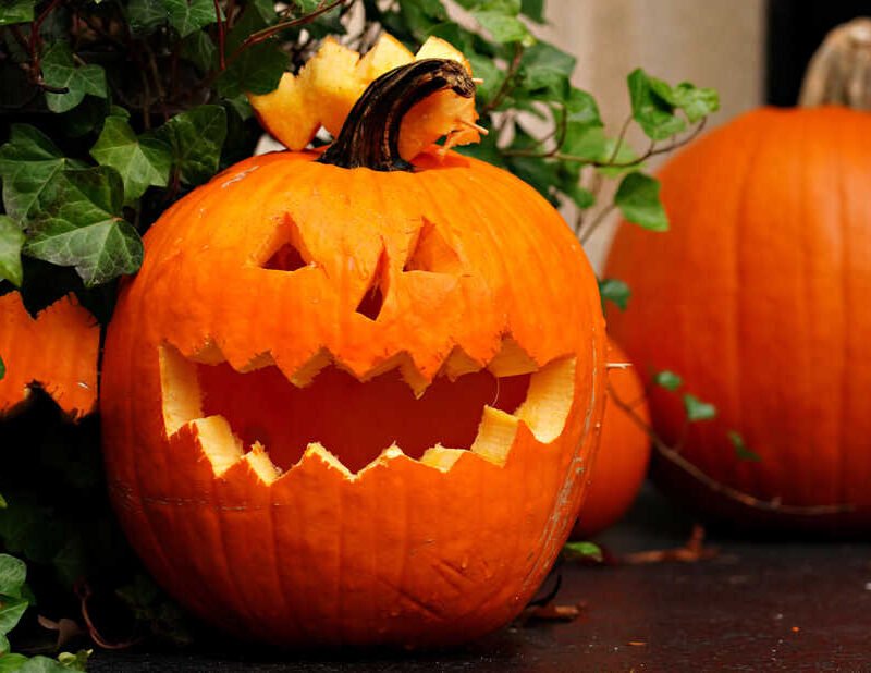 How Halloween celebrations can brush up towards real-life horror : Code Transfer : NPR