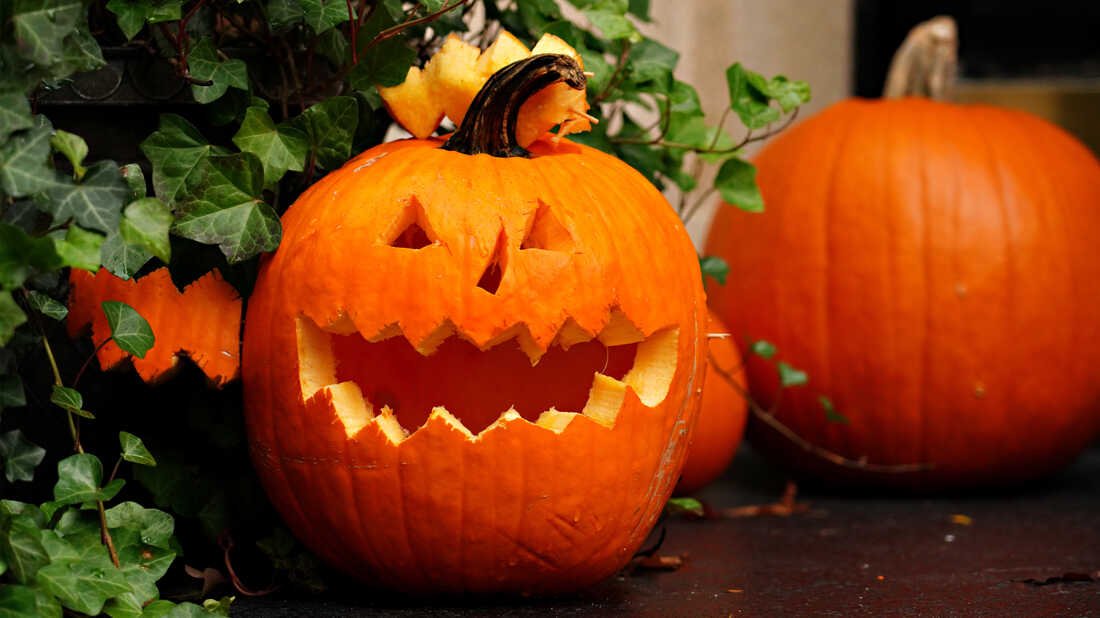 How Halloween celebrations can brush up towards real-life horror : Code Transfer : NPR