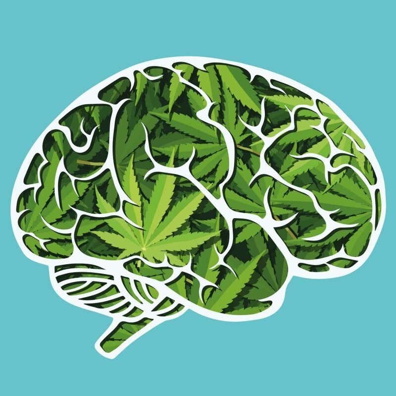 How sturdy is the hyperlink between hashish and schizophrenia?