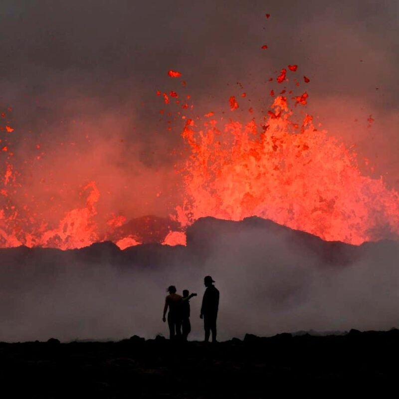 The most productive pictures of the flora and fauna in 2023