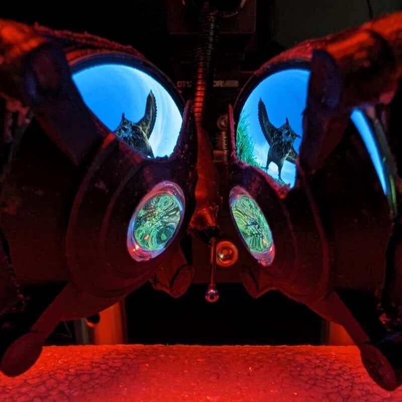 Scientists have invented digital truth goggles for mice