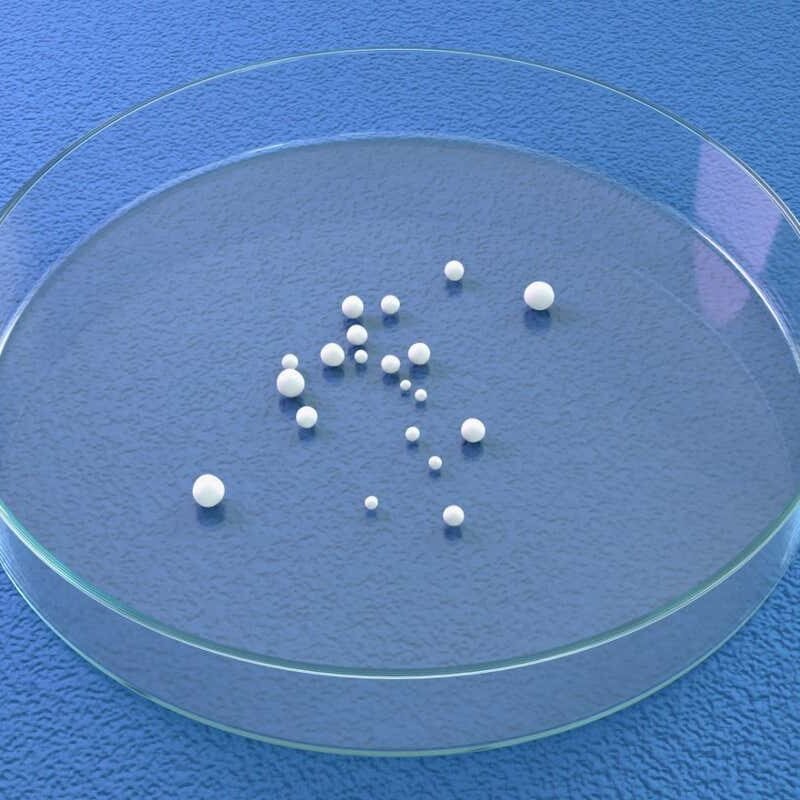 AI constructed from residing human mind cells plays speech reputation