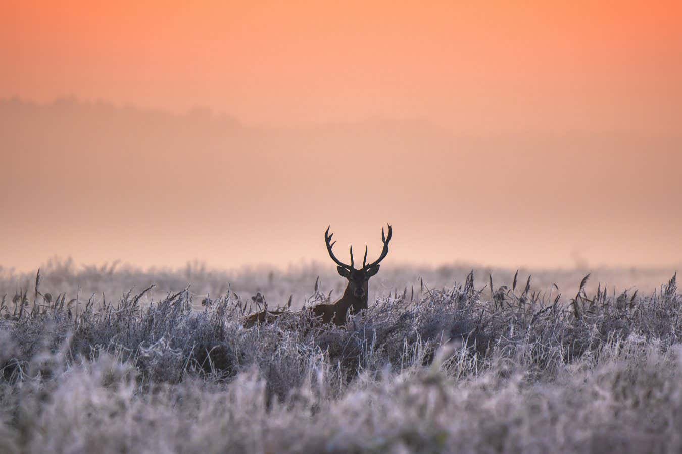 The science of why spending time in nature is simply so excellent for us