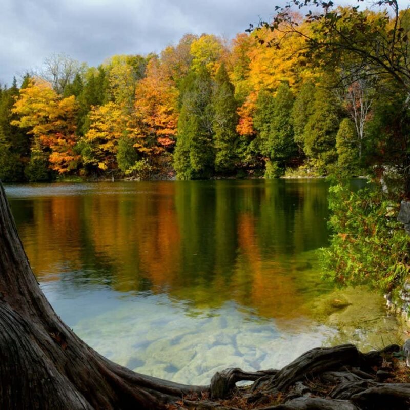 We would possibly formally input the Anthropocene epoch in 2024 We would possibly formally input the Anthropocene epoch in 2024