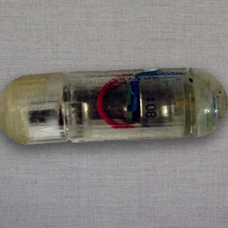 Vibrating tablet might lend a hand with weight problems via making your abdomen really feel complete Vibrating tablet might lend a hand with weight problems via making your abdomen really feel complete