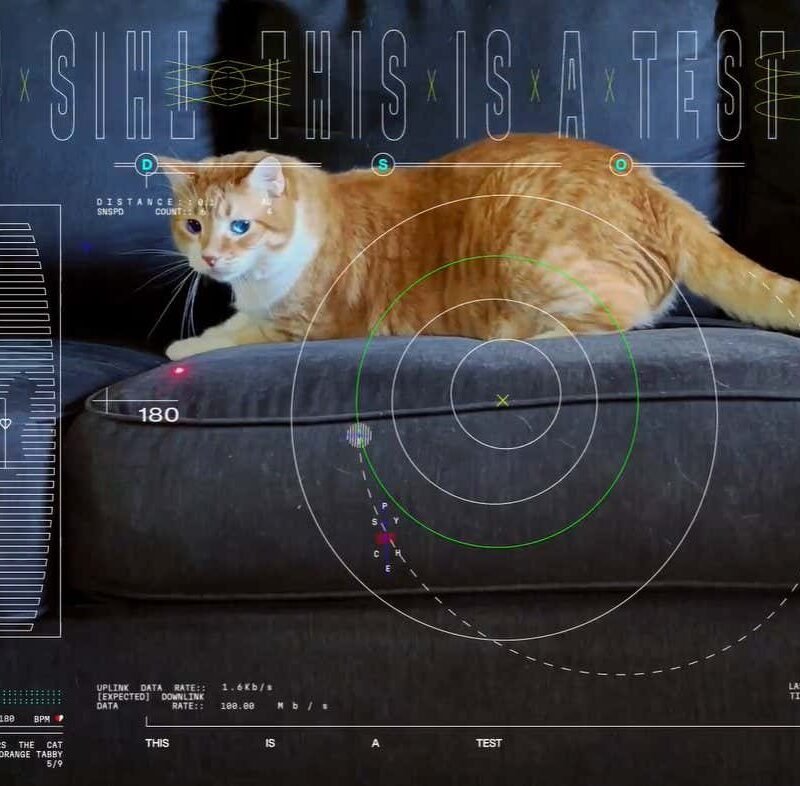 NASA sends cat video 31 million kilometres via house NASA sends cat video 31 million kilometres via house