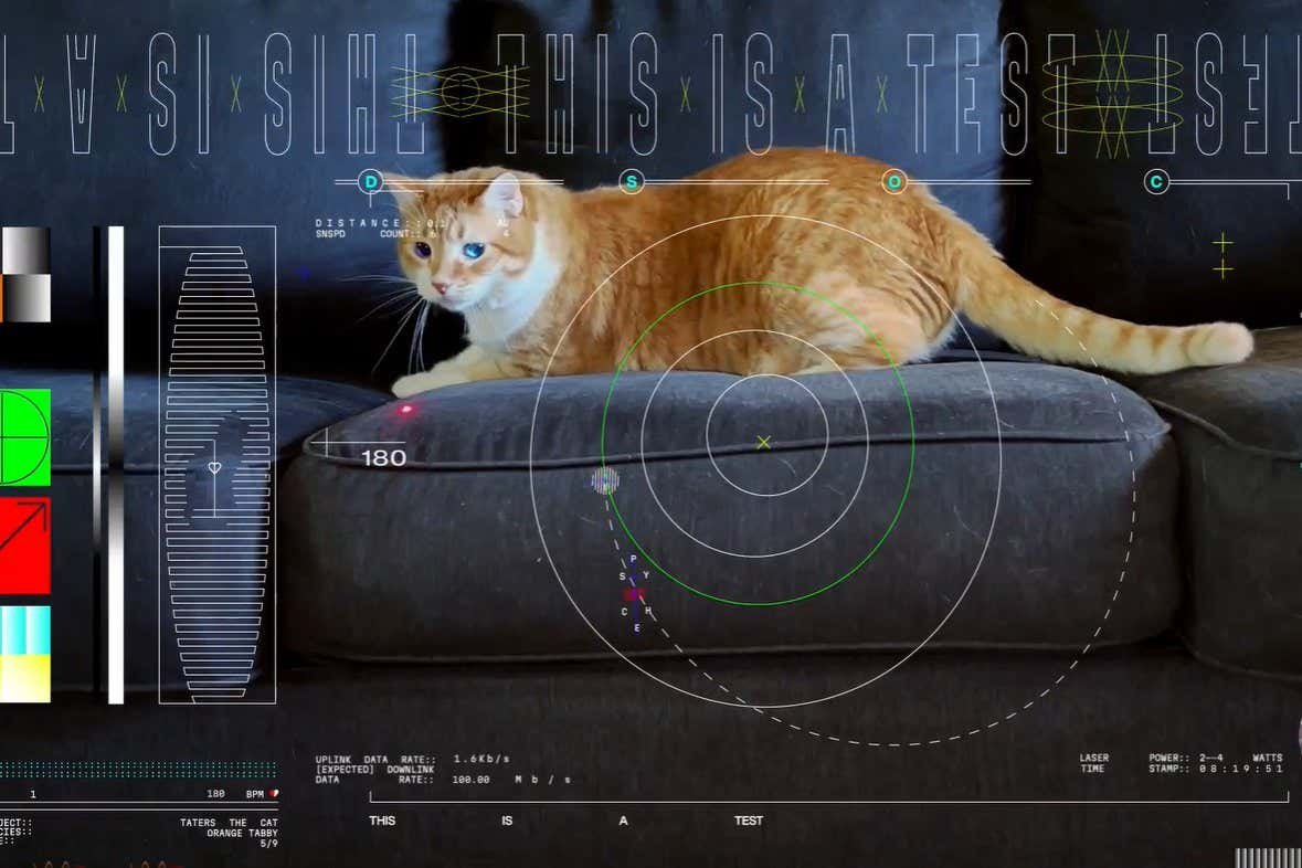 NASA sends cat video 31 million kilometres via house