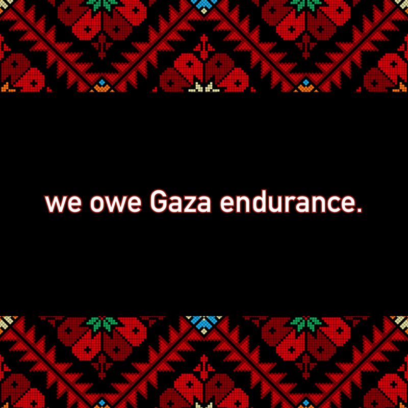 Sustained Harmony with Palestine for the Vacation Season