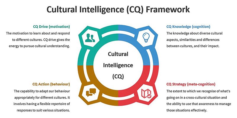 Understanding Cultural Intelligence Assessments for Equitable Services