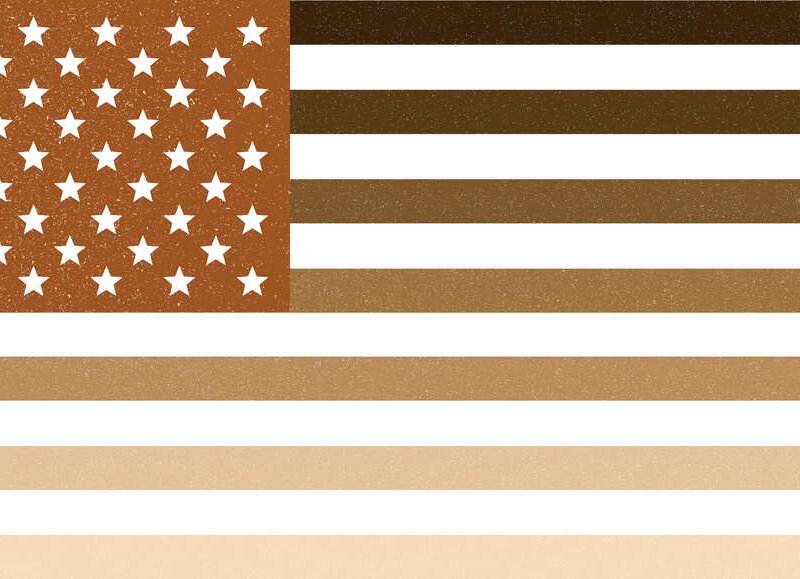 What the 2020 census can and cannot let us know about race : Code Transfer : NPR