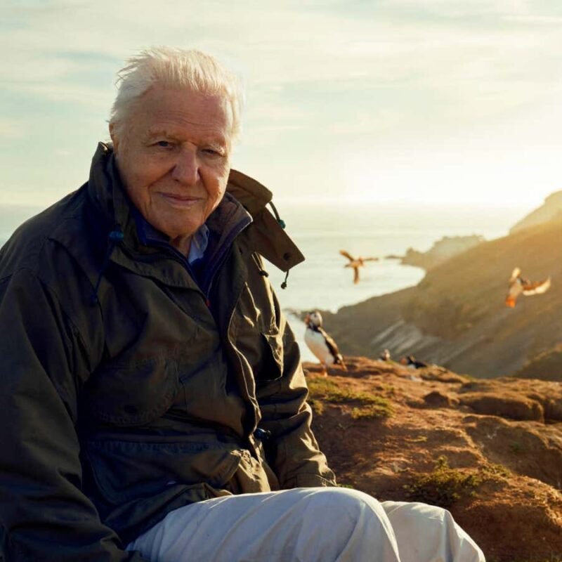 Perfect documentaries 2023: 12 science documentaries from Netflix, BBC, Apple and extra