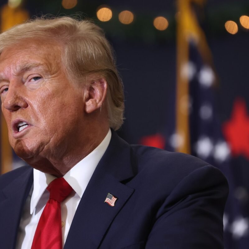 Extra Democracy, Now not the Courts, Will Defeat Trump’s Authoritarianism