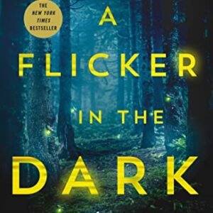 A Flicker in the Dark: A Novel