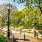 The Recreation Membership – Central Park – 1000 Piece Jigsaw Puzzle – Vibrant Distinctive Puzzle of New York Town – Amusing Problem for Adults, Teenagers and Youngsters