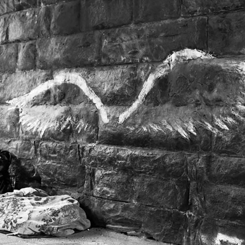 Housing Is a Human Proper