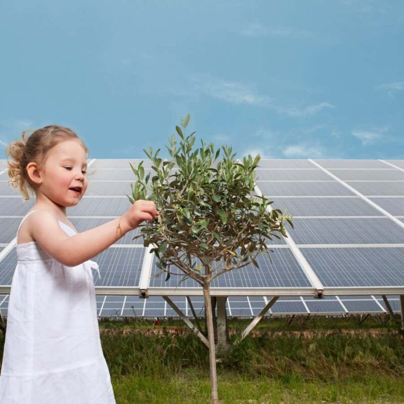 Now not the Finish of the International evaluate: Crunching the knowledge on saving Earth