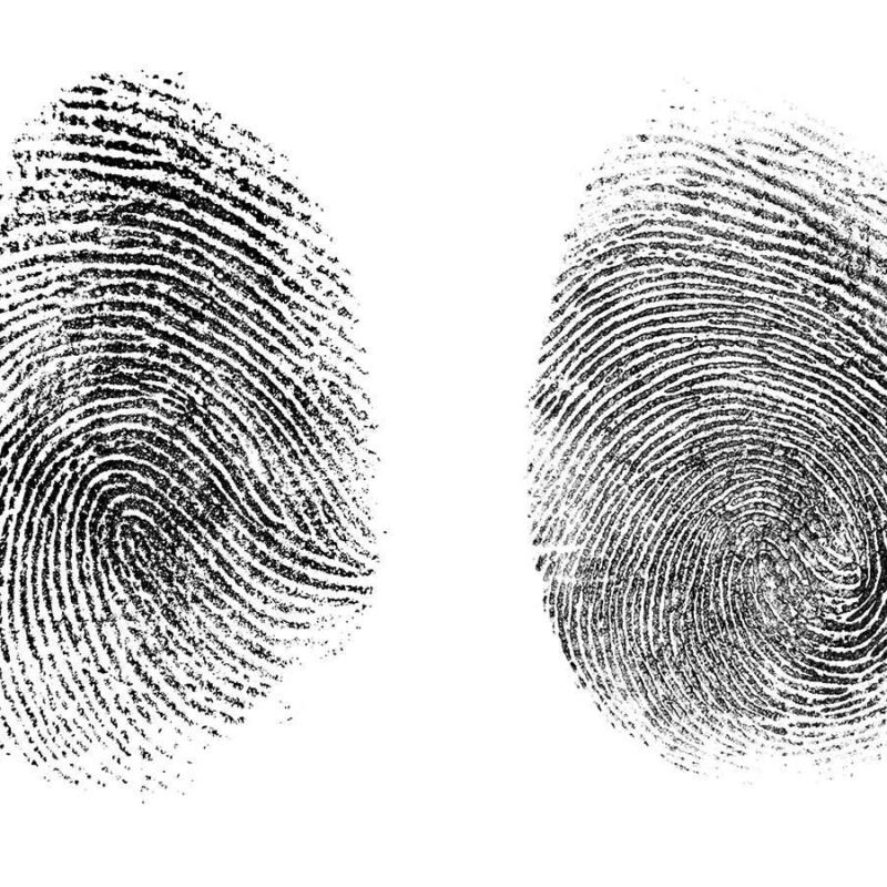 AI can inform if prints from two other palms belong to similar particular person AI can inform if prints from two other palms belong to similar particular person