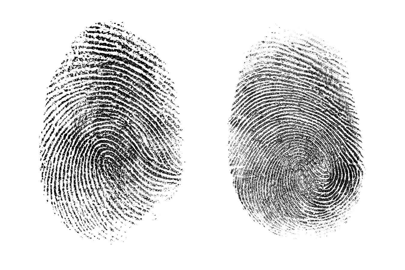 AI can inform if prints from two other palms belong to similar particular person