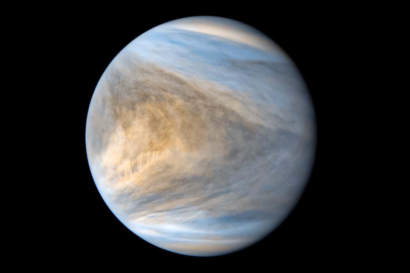 Molecules important for existence may just live to tell the tale in Venus’s acid clouds