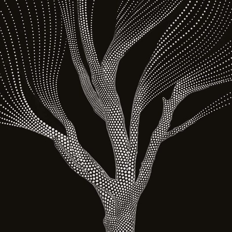 A bold new take on quantum theory could reveal how reality emerges