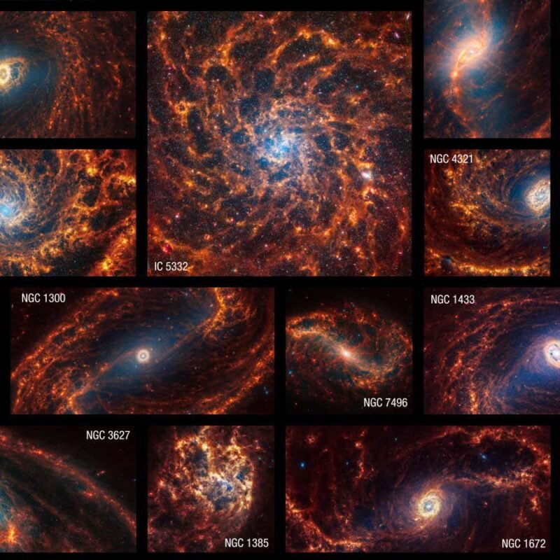 JWST has taken extraordinary images of 19 nearby spiral galaxies