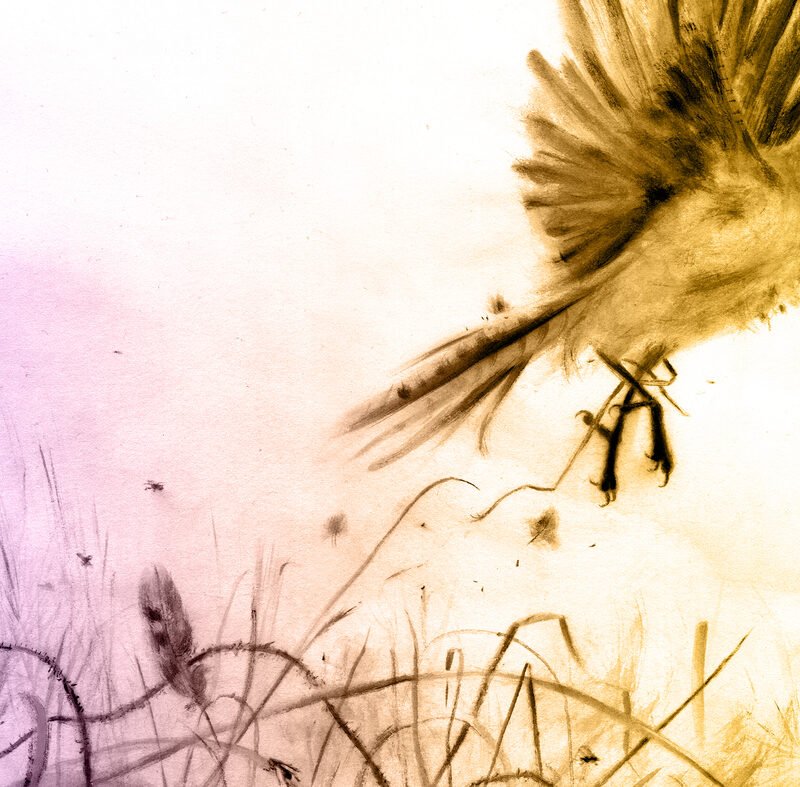 A Odd And Sour Crop : NPR : Code Transfer : NPR A Odd And Sour Crop : NPR : Code Transfer : NPR