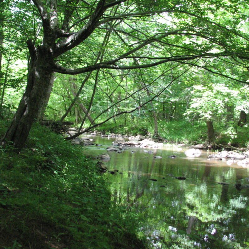 Person County residents file complaint against proposed harmful Moriah Energy Center