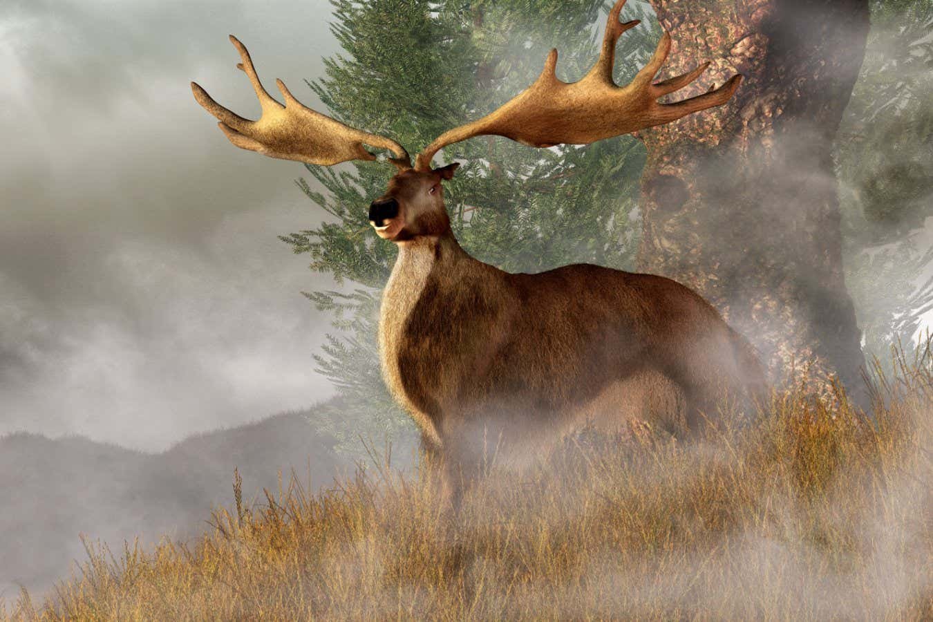 Extinct elk species had antlers that were too big to make sense