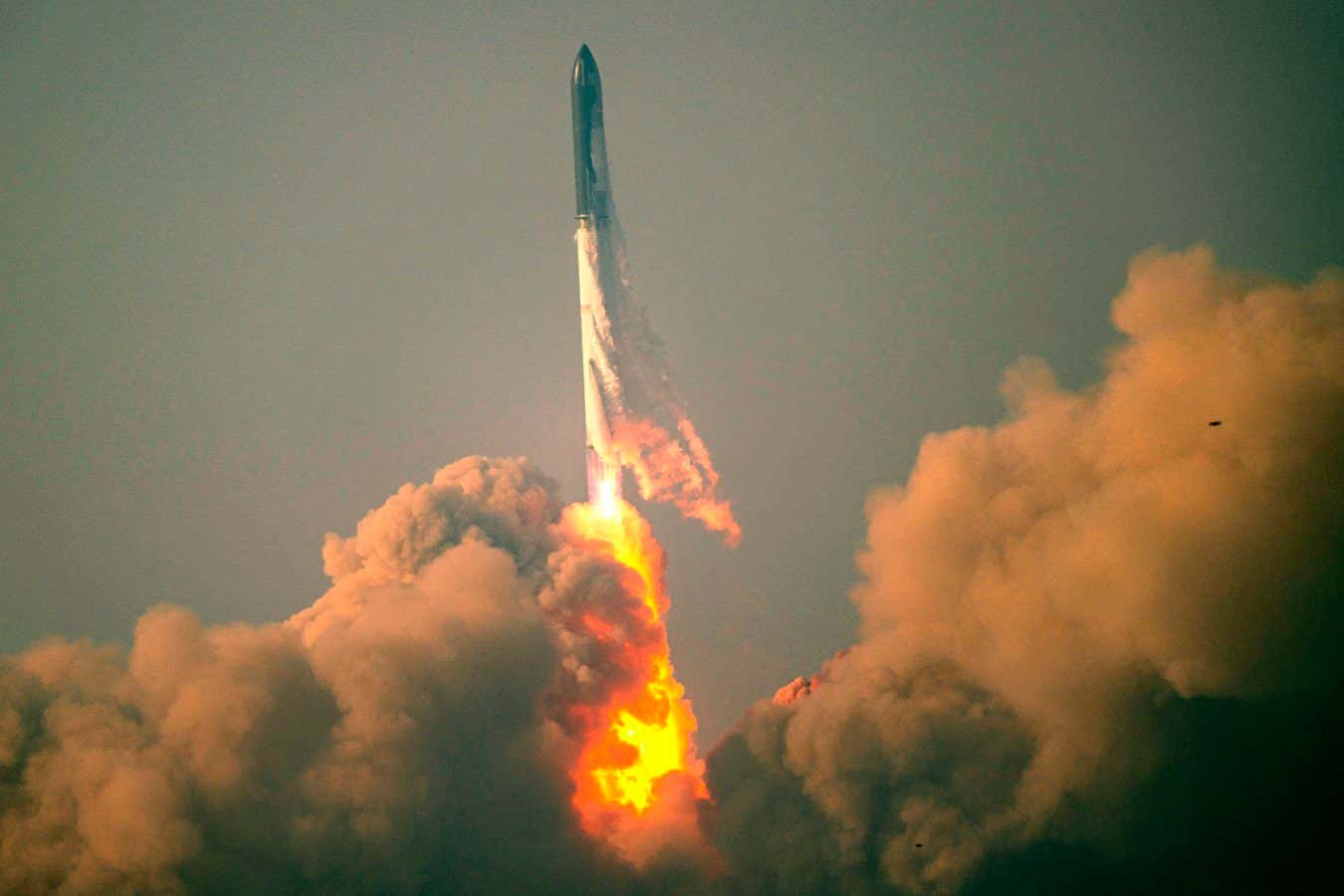 Starship launch: Next SpaceX flight test is expected this month