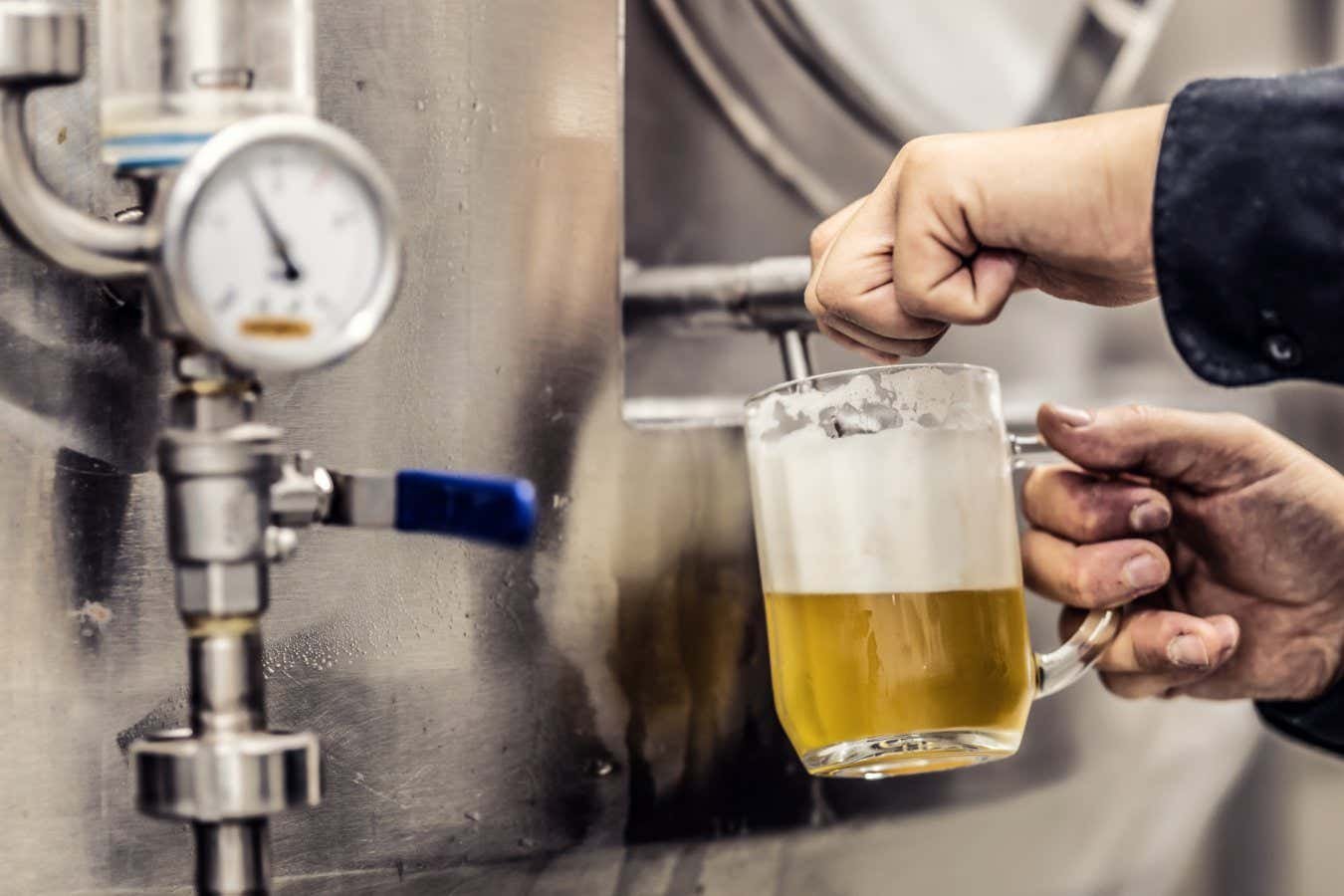 Lager could get array of novel flavours thanks to new strains of yeast