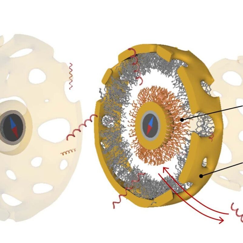 Nanobot uses a DNA clutch to engage its engine Nanobot uses a DNA clutch to engage its engine