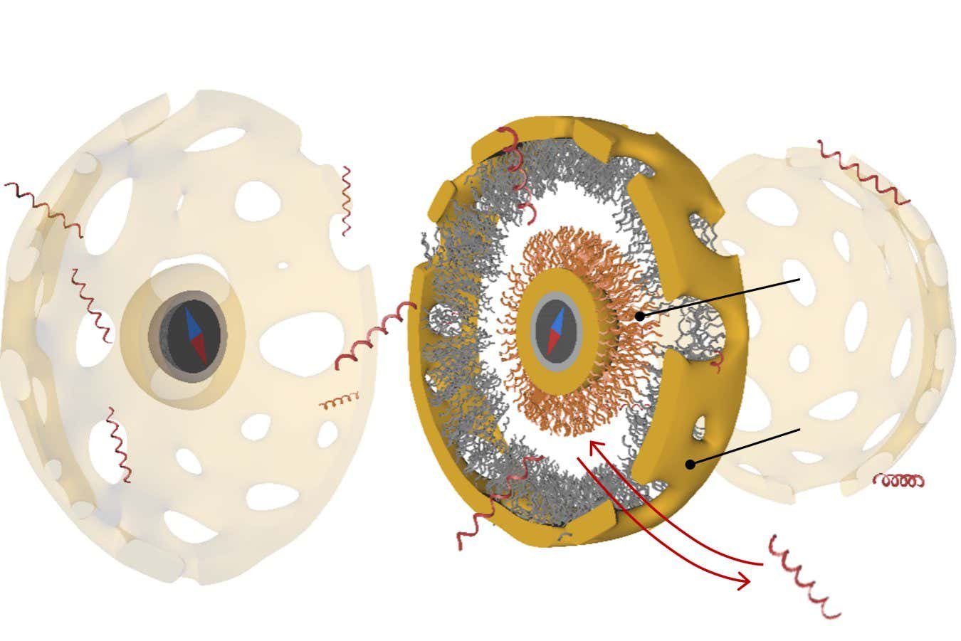 Nanobot uses a DNA clutch to engage its engine