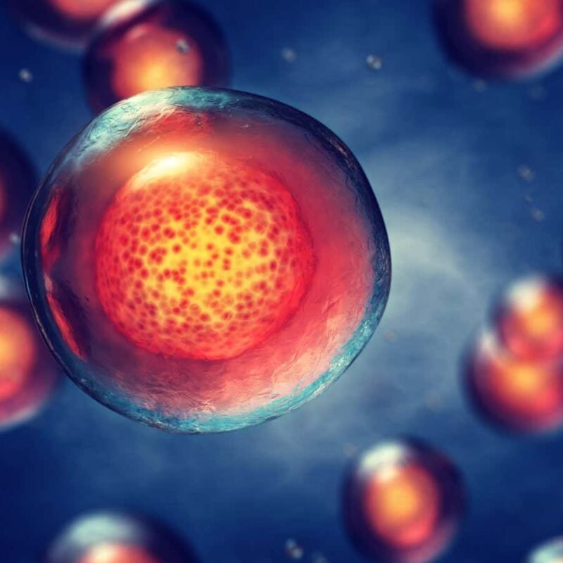 Stem cells grown in labs for experimental therapies pose a cancer risk Stem cells grown in labs for experimental therapies pose a cancer risk