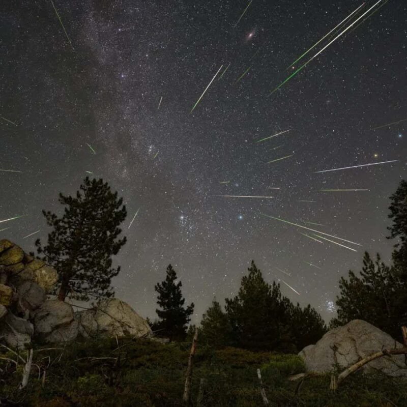 Cosmic dust may have been crucial to the beginnings of life on Earth Cosmic dust may have been crucial to the beginnings of life on Earth