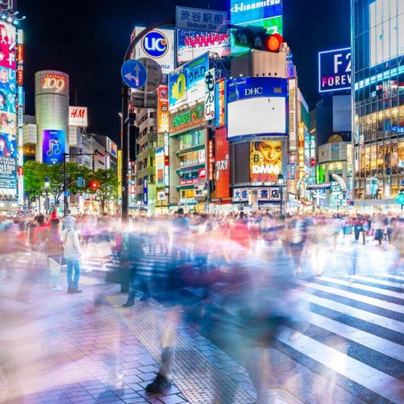 Wise Animals review: Exploring the entwined worlds of humans and tech