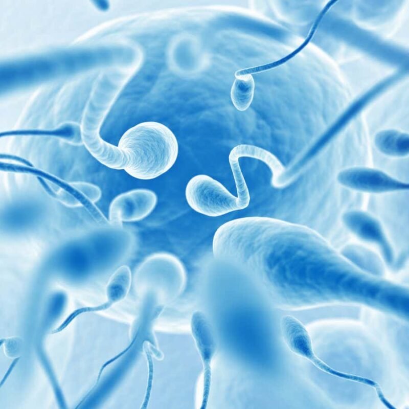 Relatives of men with fertility issues may be at higher risk of cancer Relatives of men with fertility issues may be at higher risk of cancer