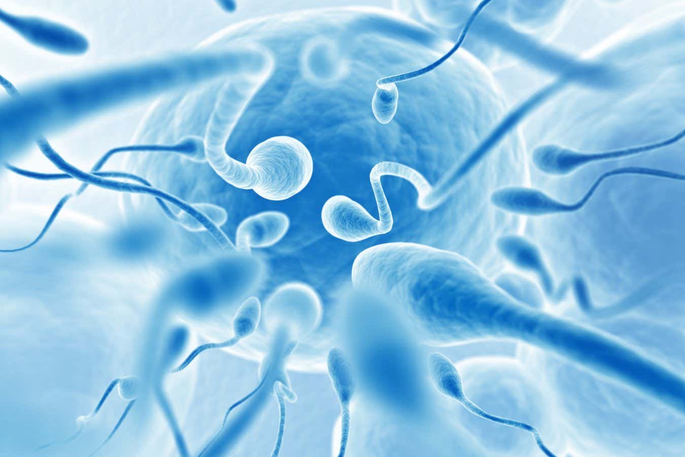 Relatives of men with fertility issues may be at higher risk of cancer