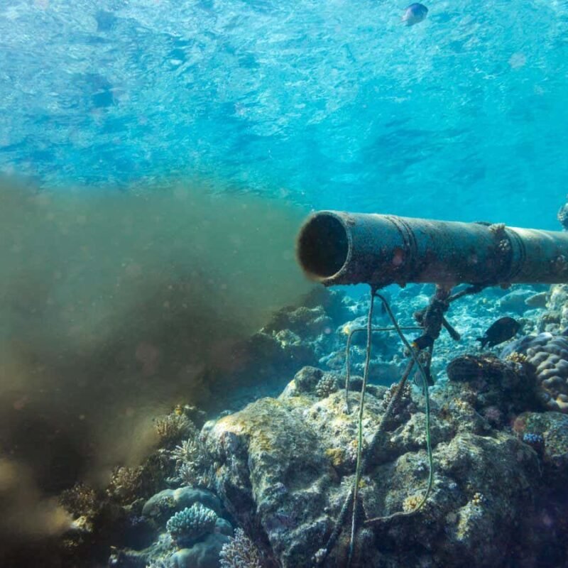 Making wastewater less acidic could help the ocean capture more carbon